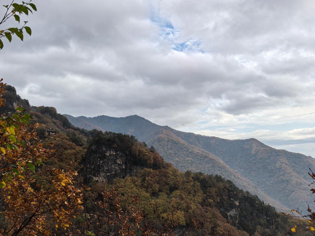 节令之美|霜降:秋色向晚,好“柿”成“霜” 节令之美|霜降:秋色向晚,好“柿”成“霜”