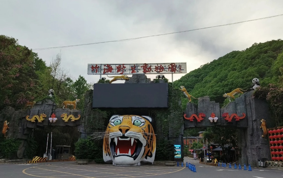 月薪5万元,一动物园招司机 月薪5万元,一动物园招司机