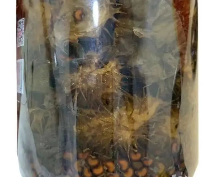 几口下肚，男子当场昏迷！医生瞬间警觉，不对劲！已不止一次发生