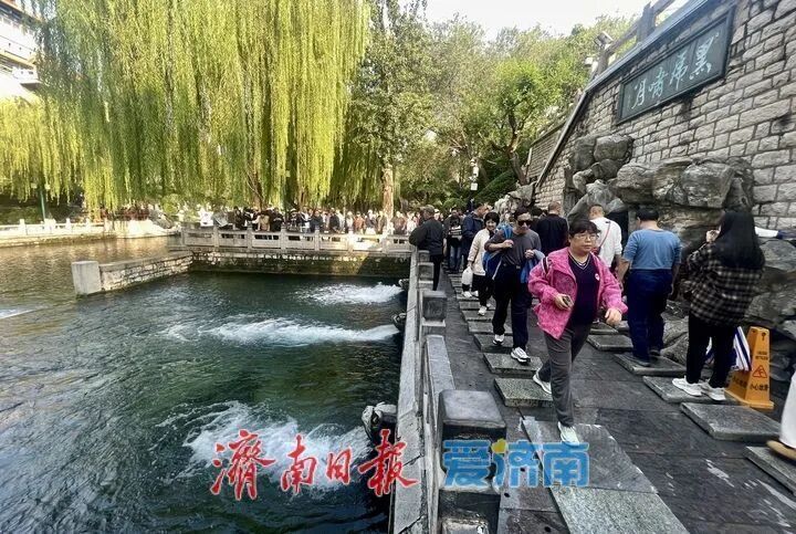 已进入最佳观赏期,济南明确:不扫! 已进入最佳观赏期,济南明确:不扫!