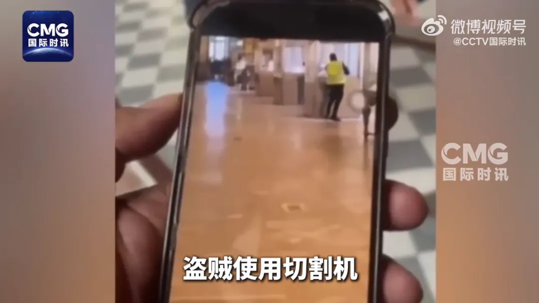 卢浮宫抢劫案嫌疑人DNA被发现 卢浮宫抢劫案嫌疑人DNA被发现