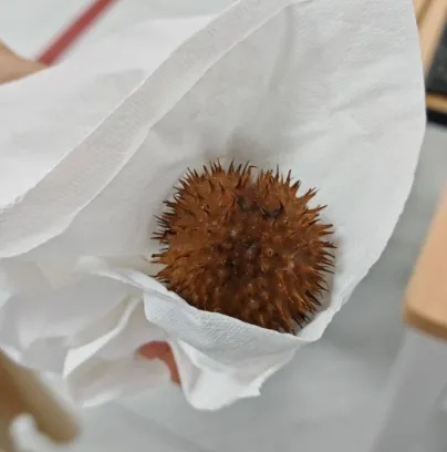 几口下肚，男子当场昏迷！医生瞬间警觉，不对劲！已不止一次发生