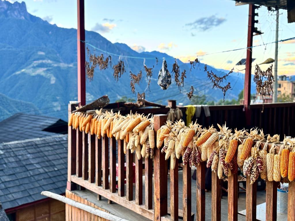 节令之美|霜降:秋色向晚,好“柿”成“霜” 节令之美|霜降:秋色向晚,好“柿”成“霜”