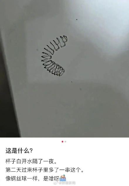 头皮发麻！隔夜水杯竟藏数百枚虫卵