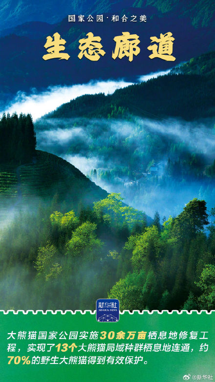 感受大熊猫国家公园的蓬勃生机 感受大熊猫国家公园的蓬勃生机