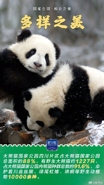 感受大熊猫国家公园的蓬勃生机 感受大熊猫国家公园的蓬勃生机