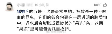 头皮发麻！隔夜水杯竟藏数百枚虫卵