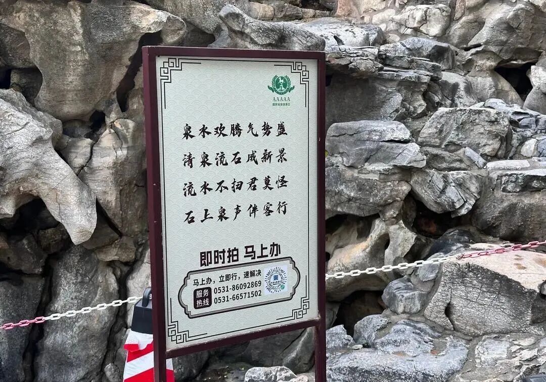 已进入最佳观赏期,济南明确:不扫! 已进入最佳观赏期,济南明确:不扫!