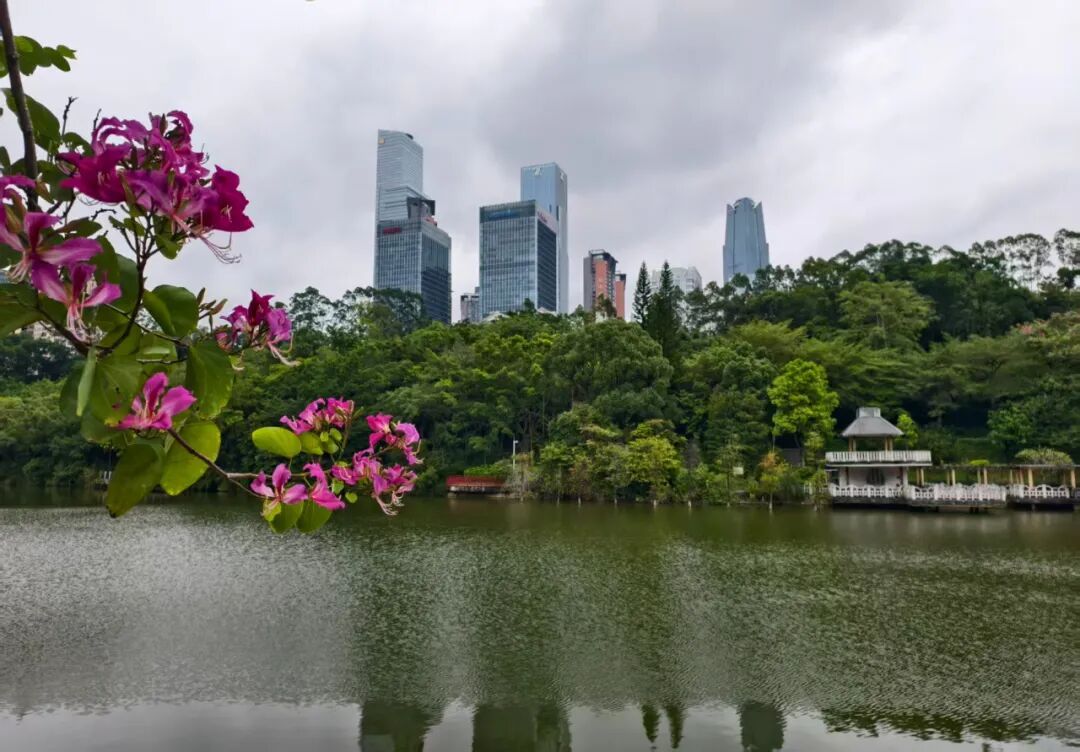 8.7℃冻哭!霜降广西现下半年最冷早晨,回暖时间→ 8.7℃冻哭!霜降广西现下半年最冷早晨,回暖时间→