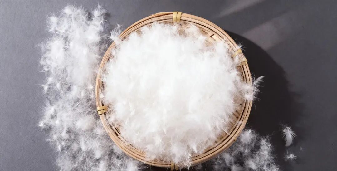 快转发到“相亲相爱一家人”!一个超简单的穿搭技巧,让羽绒服穿起来更暖和! 快转发到“相亲相爱一家人”!一个超简单的穿搭技巧,让羽绒服穿起来更暖和!