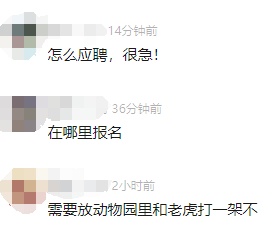 月薪5万元,一动物园招司机 月薪5万元,一动物园招司机