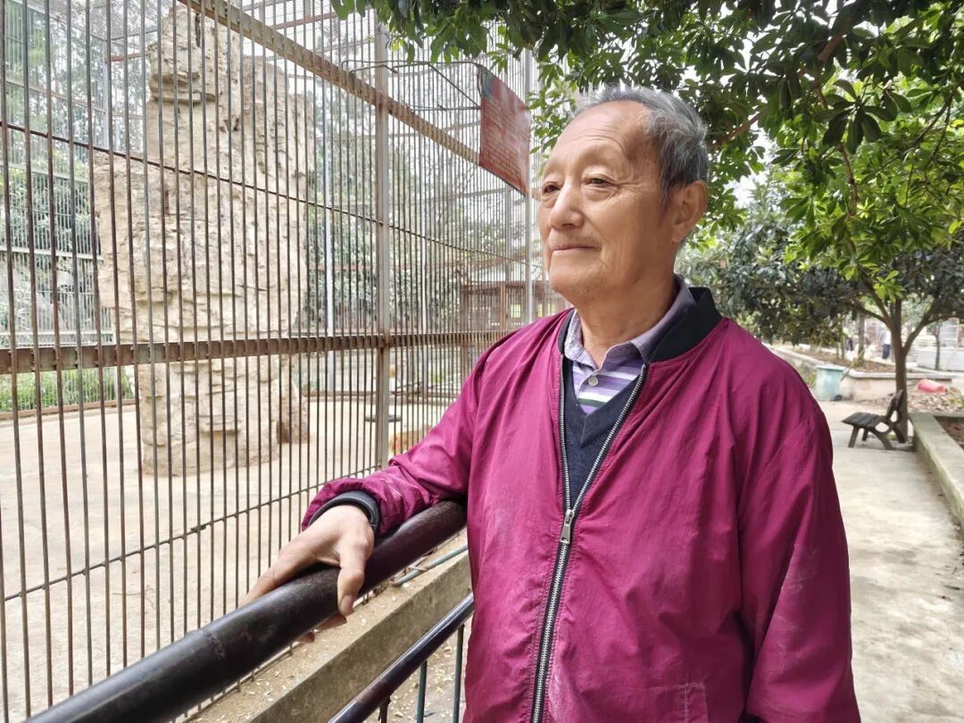 贵州一“原始风”动物园意外出圈！虎狮豹熊猴全都有，门票仅需20元