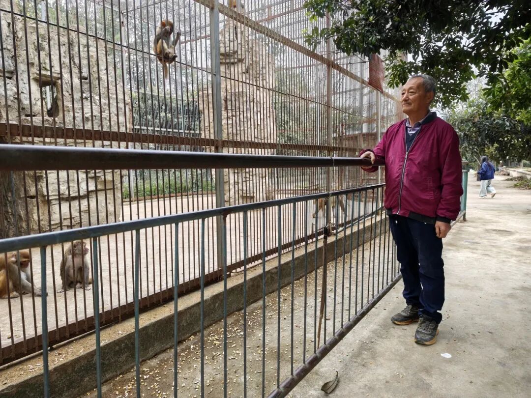 贵州一“原始风”动物园意外出圈！虎狮豹熊猴全都有，门票仅需20元