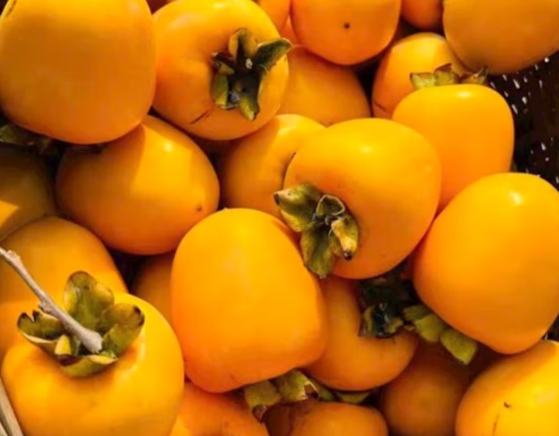 近期大量上市!秋天幸福感最强的水果,营养又好吃 近期大量上市!秋天幸福感最强的水果,营养又好吃