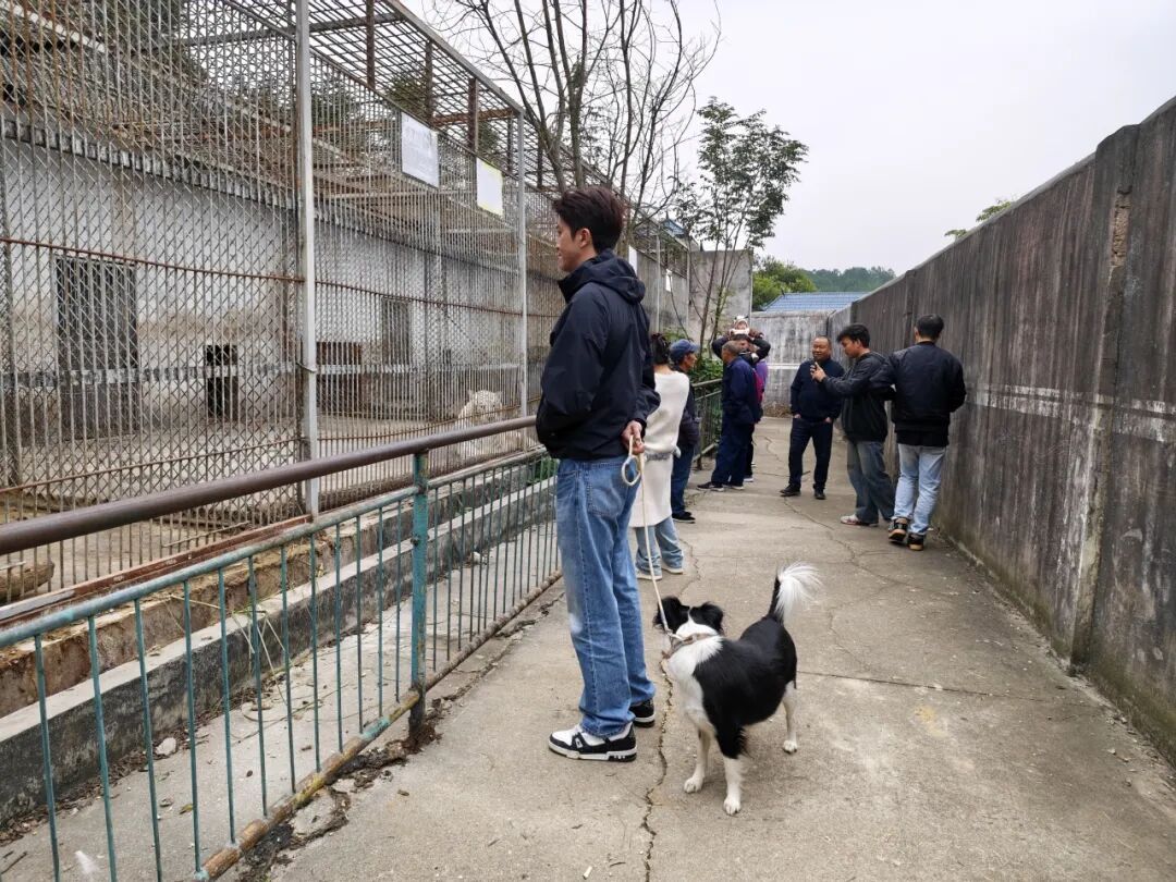 贵州一“原始风”动物园意外出圈！虎狮豹熊猴全都有，门票仅需20元