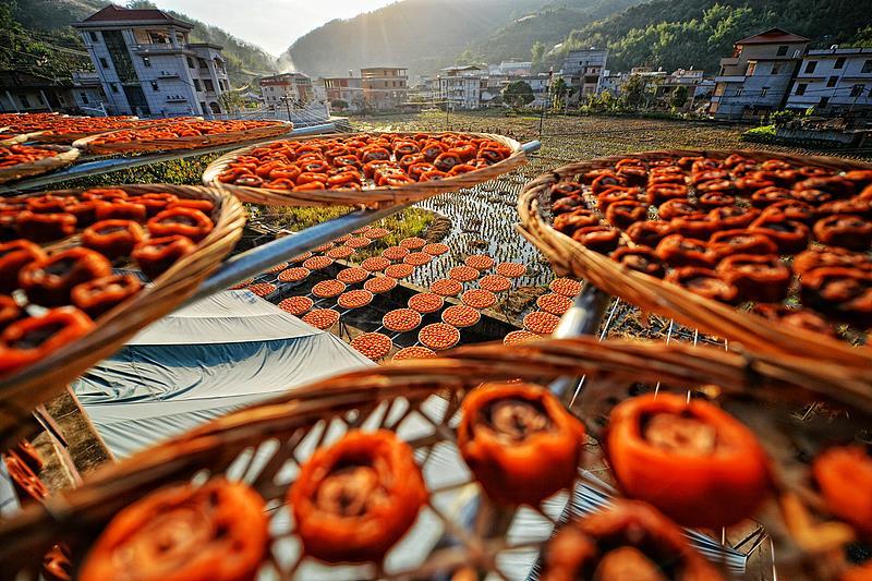 近期大量上市!秋天幸福感最强的水果,营养又好吃 近期大量上市!秋天幸福感最强的水果,营养又好吃