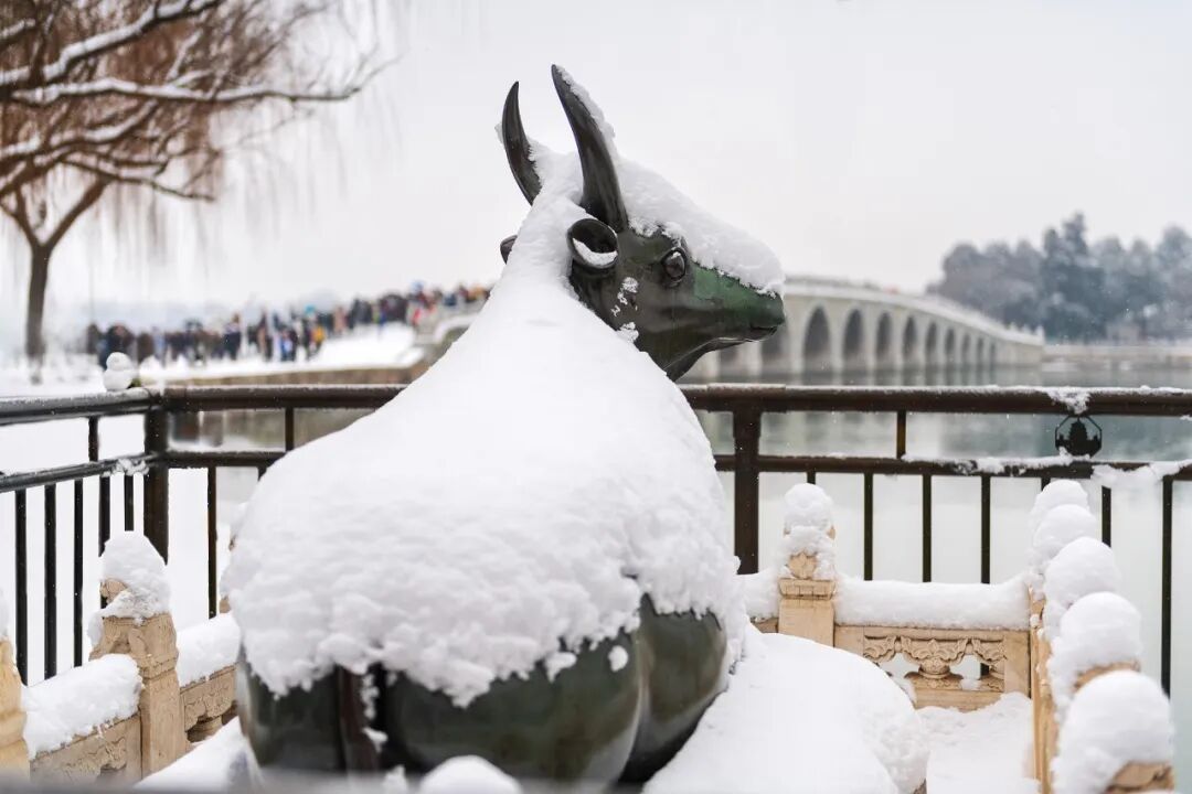 国家气候中心首席预报员：预计今冬偏暖，但冷暖起伏大