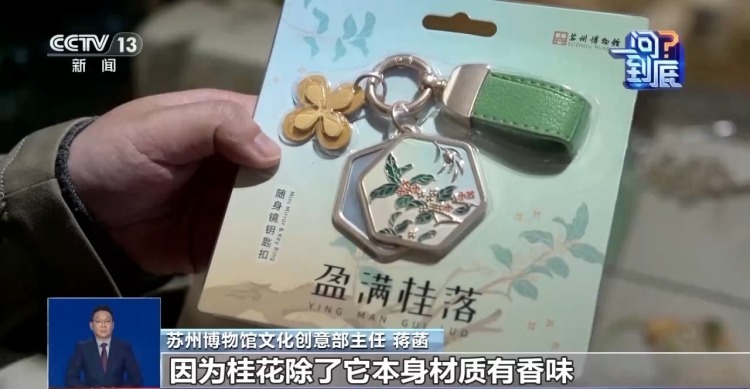 桂花开花“姗姗来迟” 最佳赏桂期持续多久？专家解读