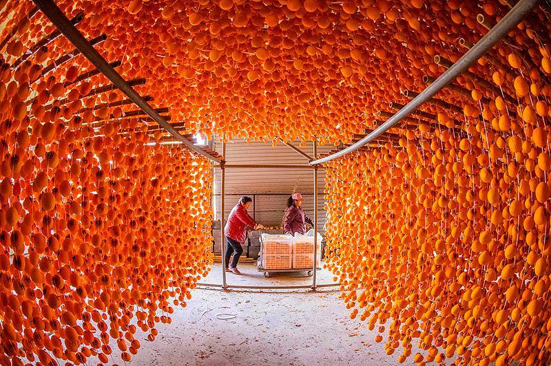 近期大量上市!秋天幸福感最强的水果,营养又好吃 近期大量上市!秋天幸福感最强的水果,营养又好吃