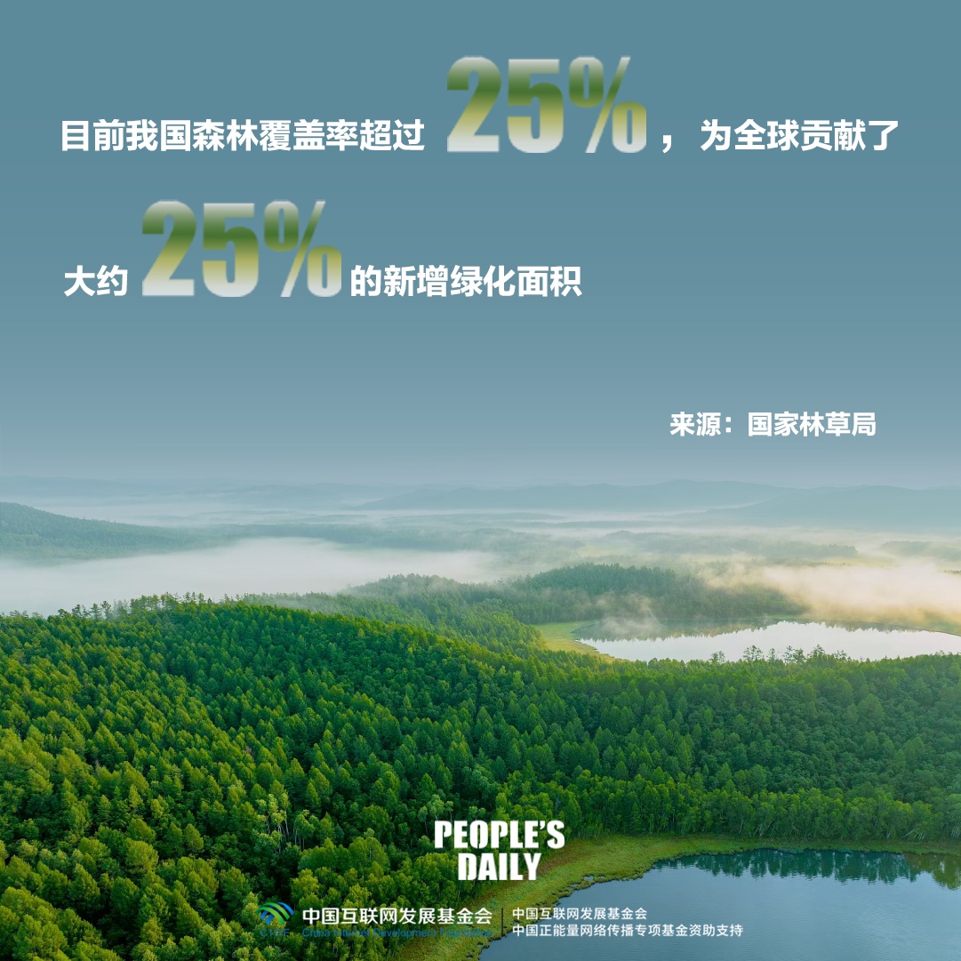 一组数字，回望“十四五”时期美丽中国建设成就