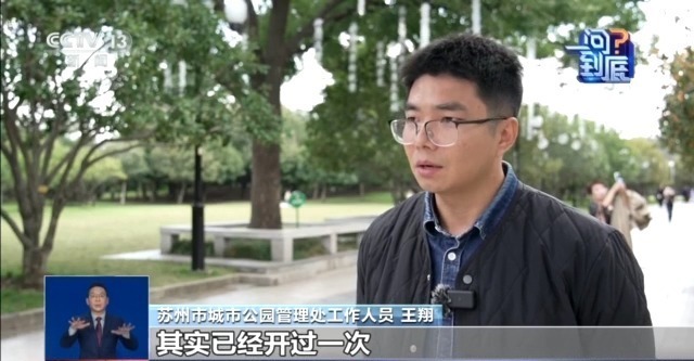 桂花开花“姗姗来迟” 最佳赏桂期持续多久？专家解读