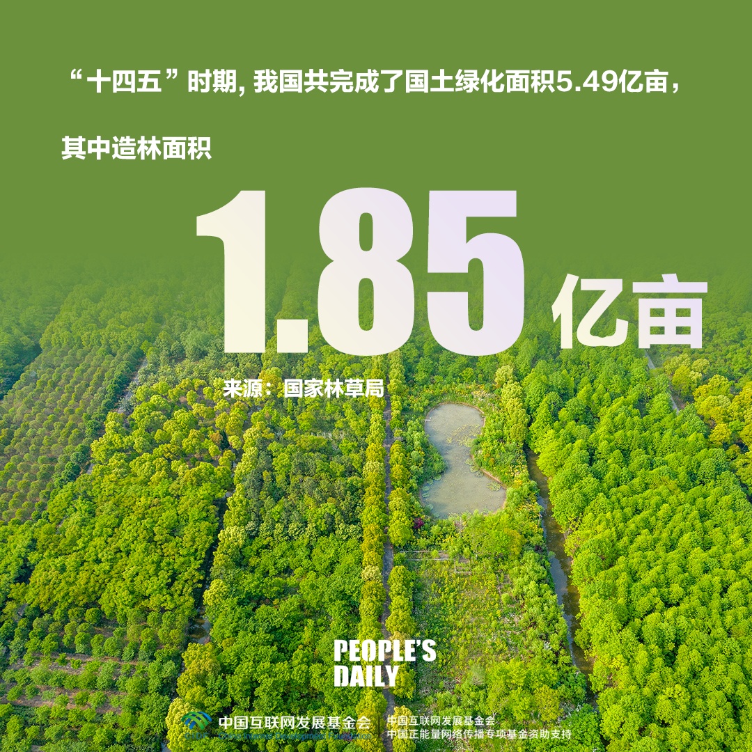 一组数字，回望“十四五”时期美丽中国建设成就