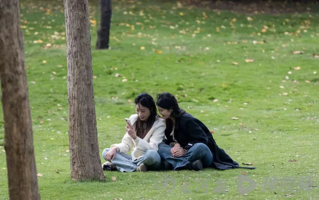 都恁冷了郑州法桐咋还不黄？河南周末起将迎一连串晴天，最高温重回20℃