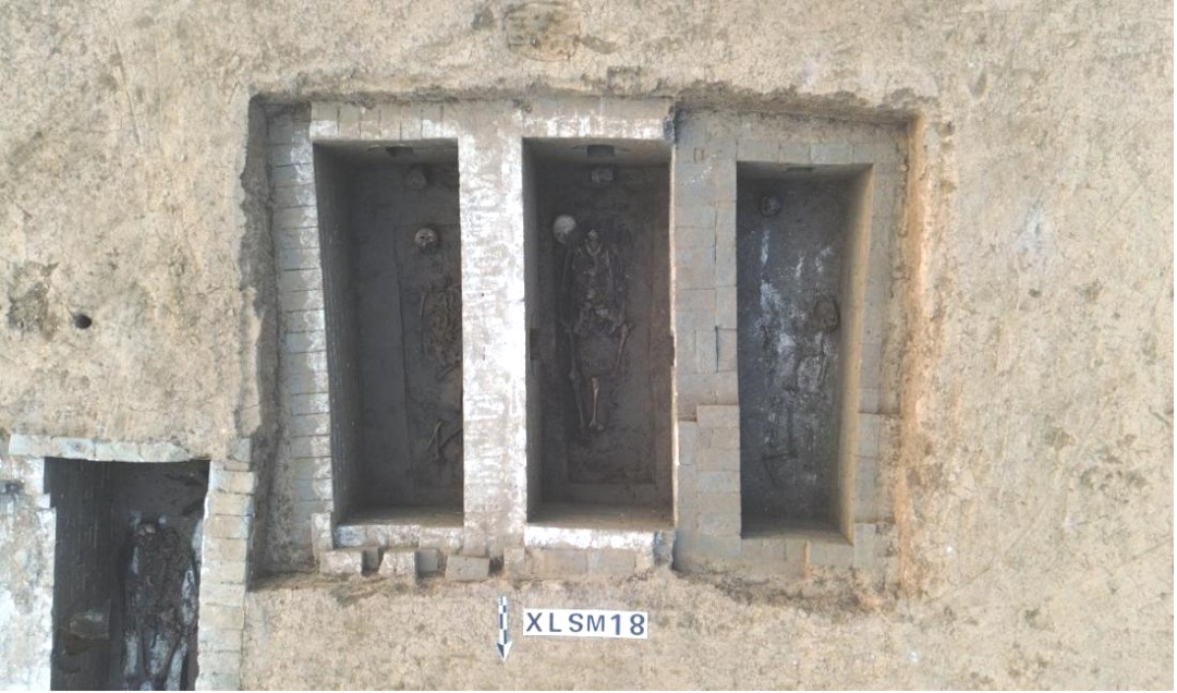 清理遗迹36处！济南历城区西梁王四村墓地考古新发现