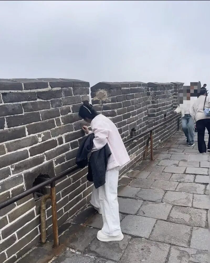 女子在八达岭长城刻字?根本不听劝!警方已立案调查 女子在八达岭长城刻字?根本不听劝!警方已立案调查