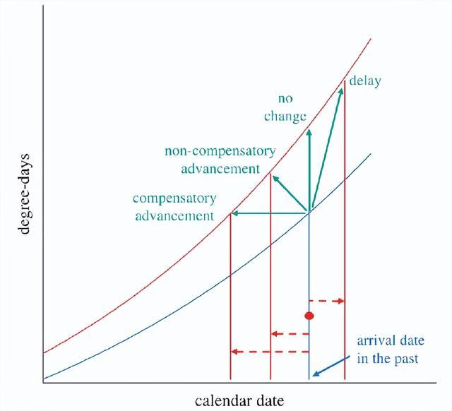 东北网友拍下大量燕子滞留,目击者:死了很多,已经飞不走了…… 东北网友拍下大量燕子滞留,目击者:死了很多,已经飞不走了……