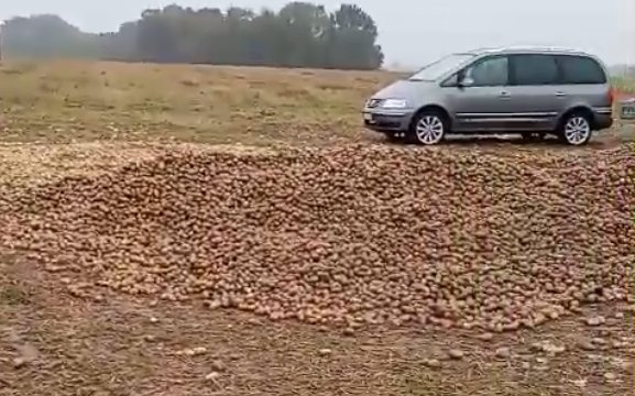 波兰68岁农民收获的150吨土豆被一夜搬空, 只因帖子遭篡改 波兰68岁农民收获的150吨土豆被一夜搬空, 只因帖子遭篡改