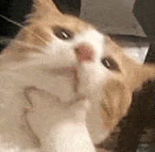 跨省寻找27年前的初恋!男子一度掩面哭泣,妻子:我不吃醋 跨省寻找27年前的初恋!男子一度掩面哭泣,妻子:我不吃醋