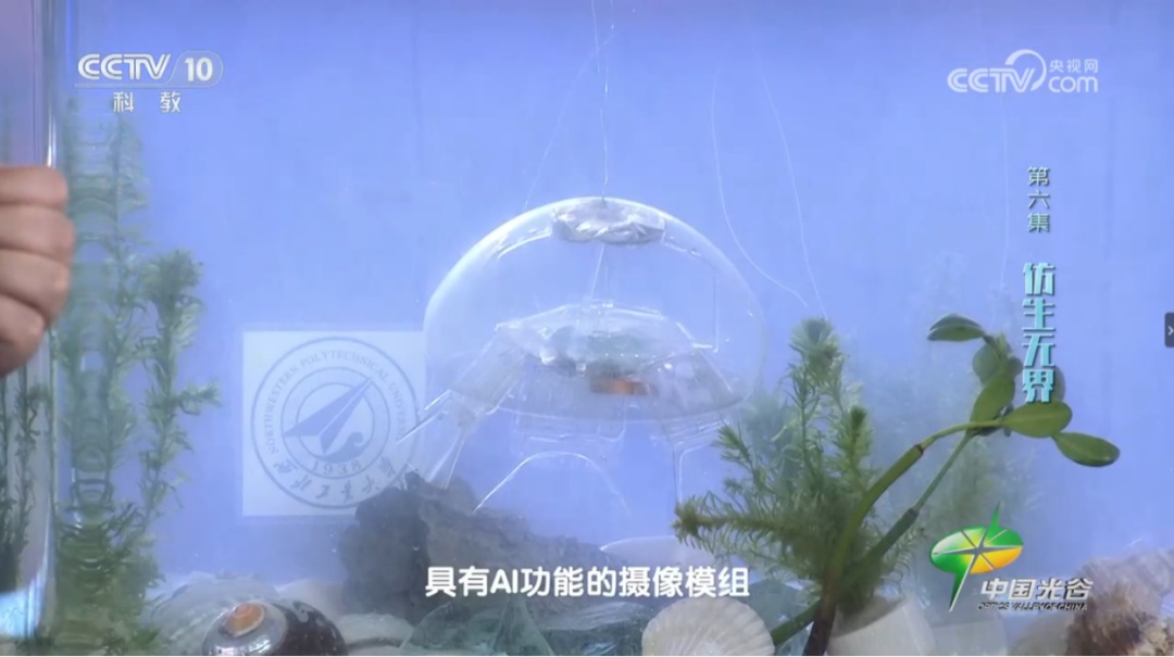 仅重一两！“水下幽灵”机器人研制成功