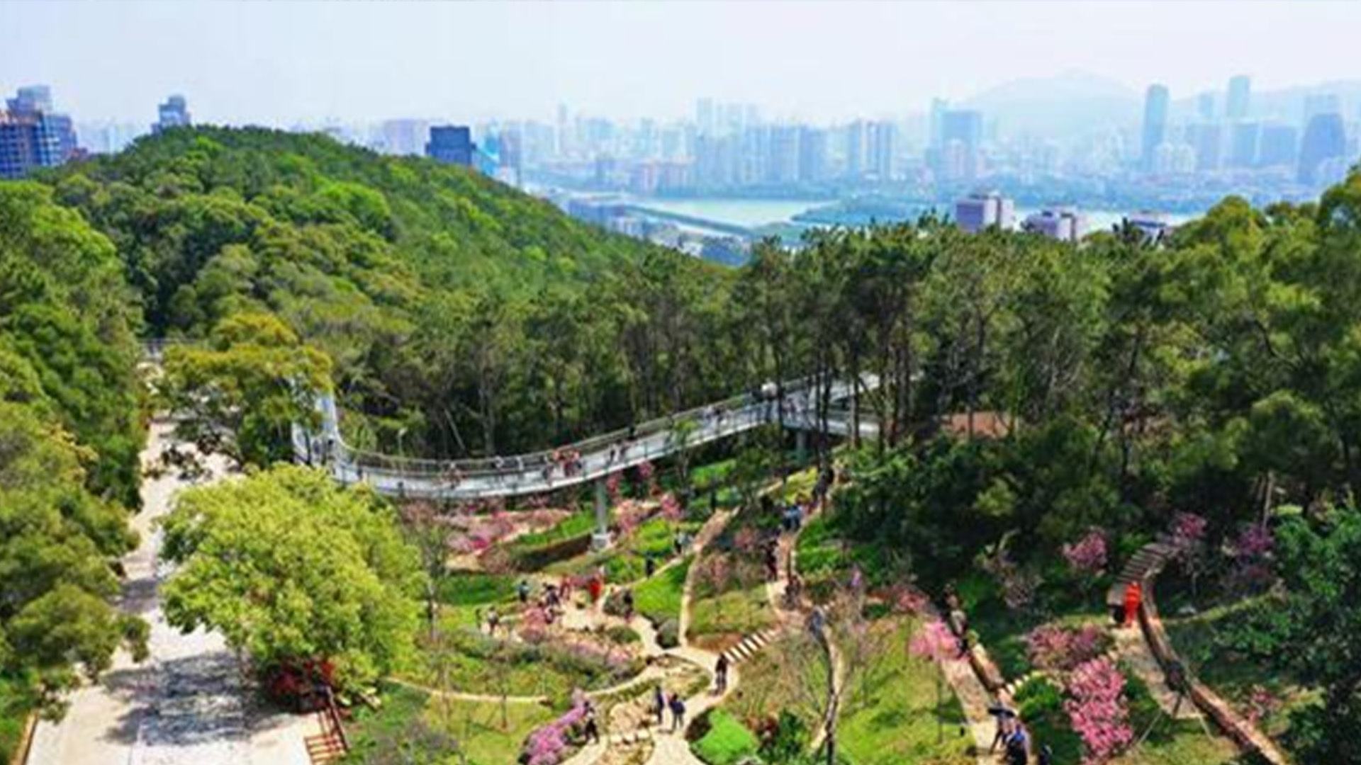 人均体育场地面积居全国前列 厦门5座国家级体育公园等你来