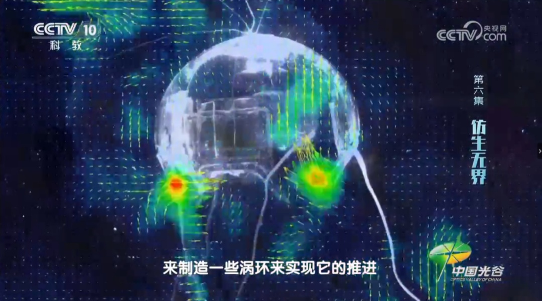 仅重一两！“水下幽灵”机器人研制成功