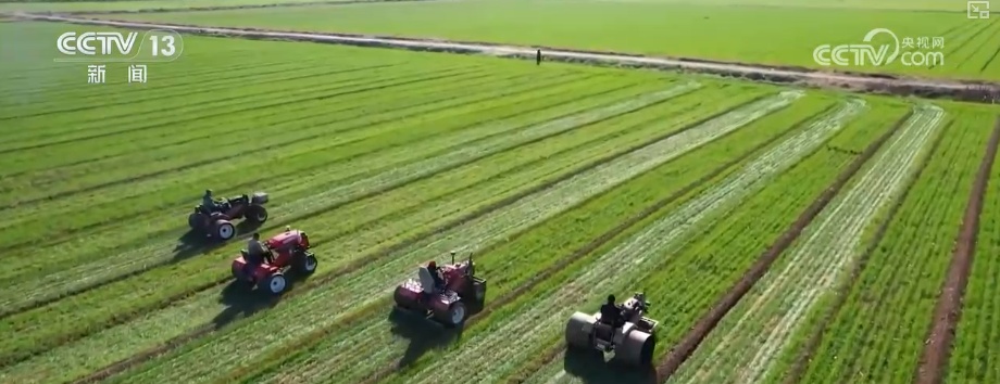 “十五五”字里行间藏着发展机会 看懂就能搭上政策“顺风车”! “十五五”字里行间藏着发展机会 看懂就能搭上政策“顺风车”!