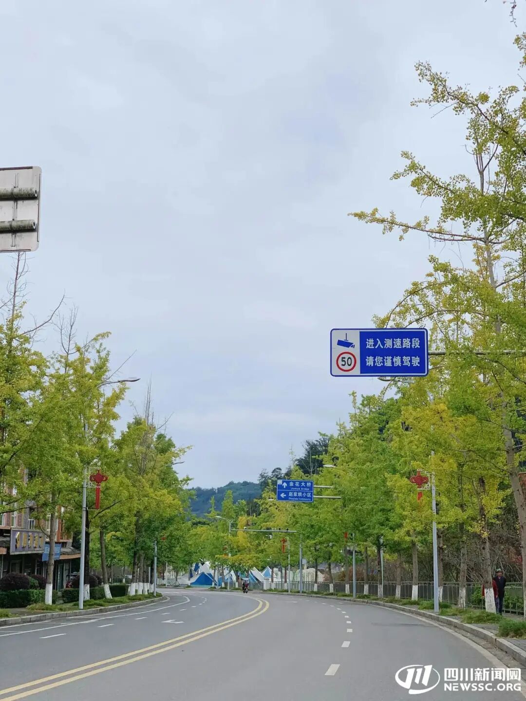 把秋天装进口袋？医生：街头银杏果“三不吃”