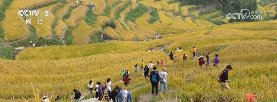 “田园风光+潮流玩法”成文旅融合新亮点 乡村旅游新消费活力十足