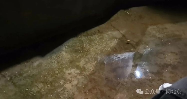 北京环球影城游客雨夜被“挂”半小时，赔一个猴子挂件？