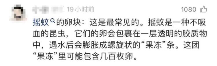 头皮发麻！女子早起发现隔夜水中漂浮着一串透明白色物体，网友：是虫卵