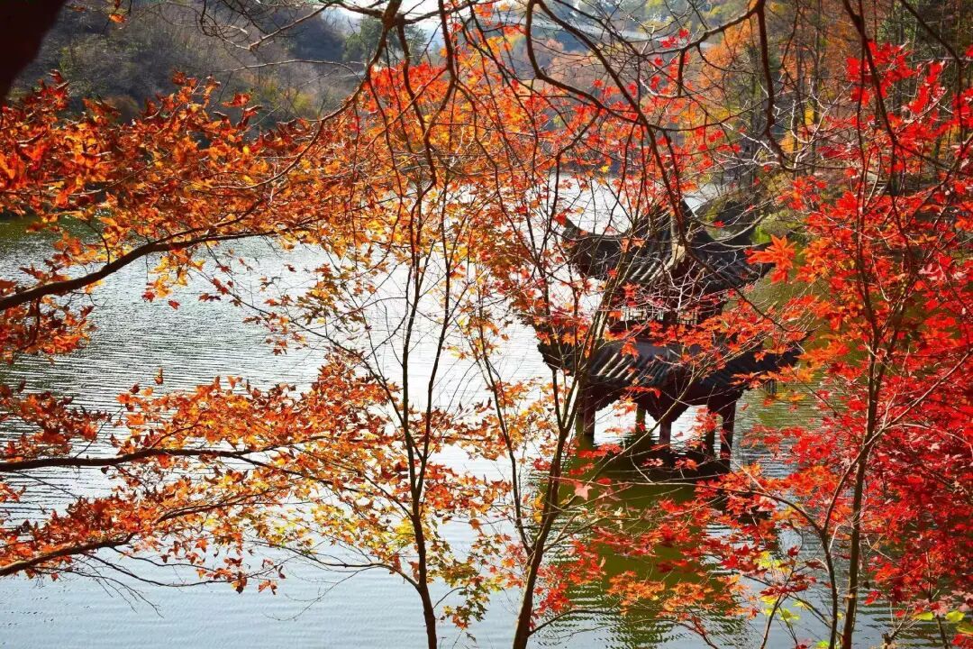 马上过节,武汉多景区免票 马上过节,武汉多景区免票