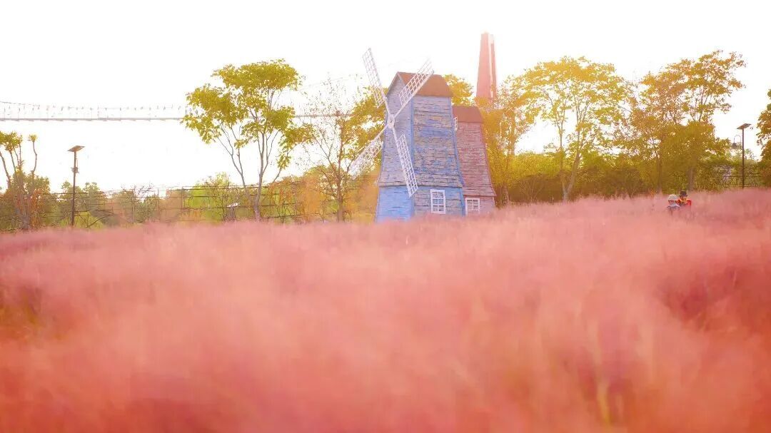 马上过节,武汉多景区免票 马上过节,武汉多景区免票