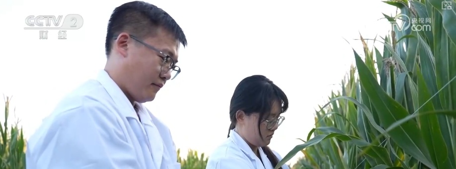 产学研融合高校科研“接地气” 打破学科壁垒为毕业生开拓全新职业蓝海