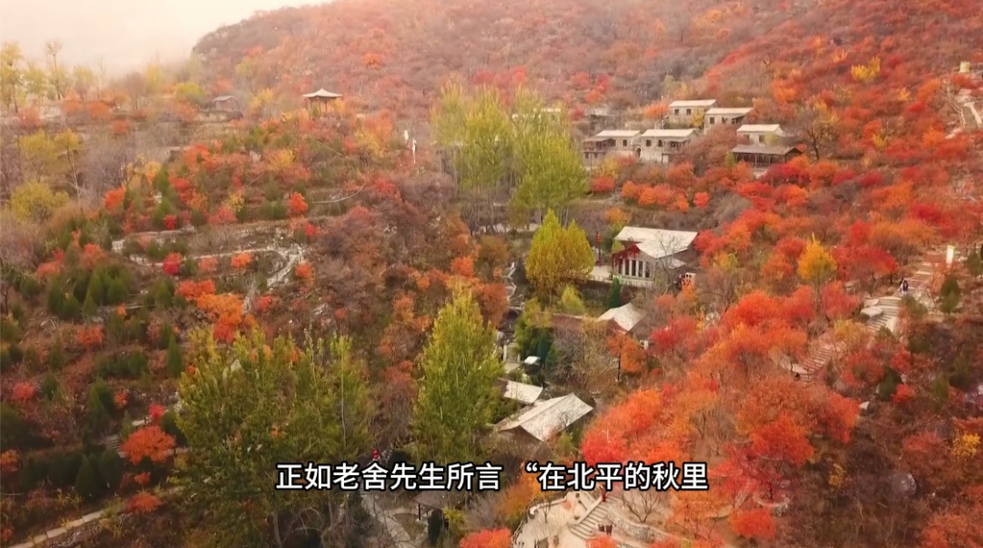 红了!黄了!错过这个节点——真没了! 红了!黄了!错过这个节点——真没了!