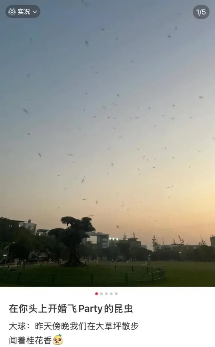 女子早起发现,隔夜水中漂浮着一串透明白色“果冻”,内有几百个……网友:再也不敢了 女子早起发现,隔夜水中漂浮着一串透明白色“果冻”,内有几百个……网友:再也不敢了