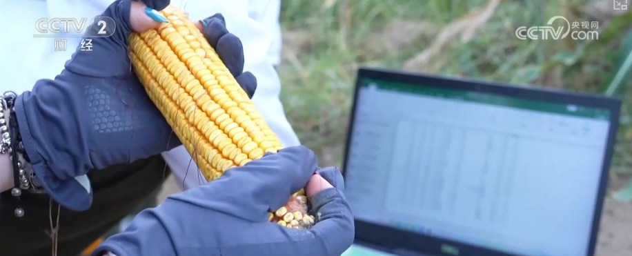 产学研融合高校科研“接地气” 打破学科壁垒为毕业生开拓全新职业蓝海