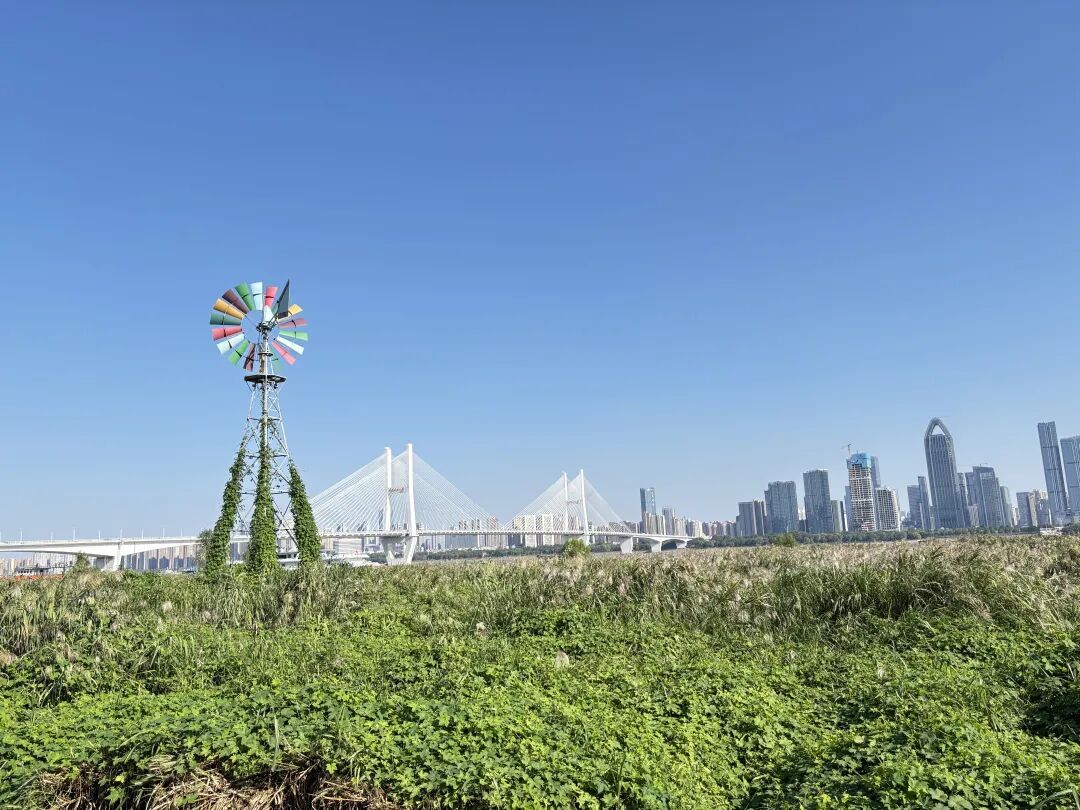 马上过节,武汉多景区免票 马上过节,武汉多景区免票