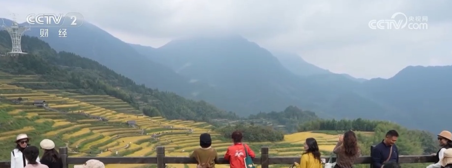 “田园风光+潮流玩法”成文旅融合新亮点 乡村旅游新消费活力十足