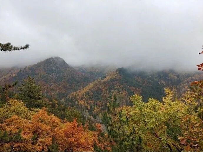 秋天真的变短了吗?数据说话! 秋天真的变短了吗?数据说话!