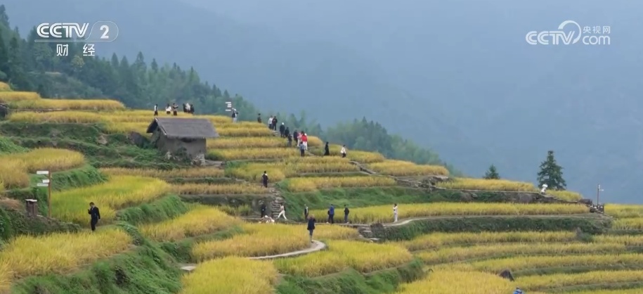 “田园风光+潮流玩法”成文旅融合新亮点 乡村旅游新消费活力十足